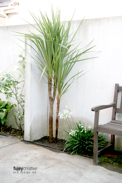 新しい木 | Design House