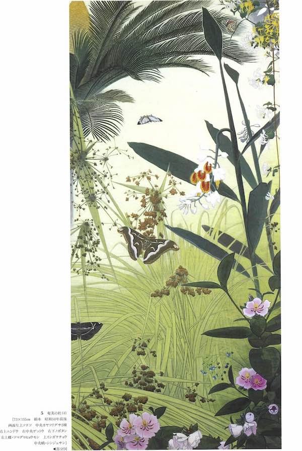 田中一村 | 青柳庵日記