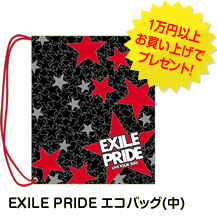 EXILE LIVE TOUR 2013 