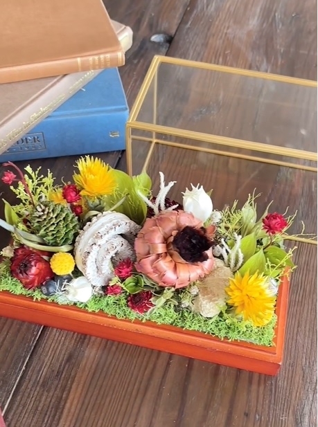 真鍮ガラスケースの植物たち☆ドライフラワー岡山市南区藤田草花ToA
