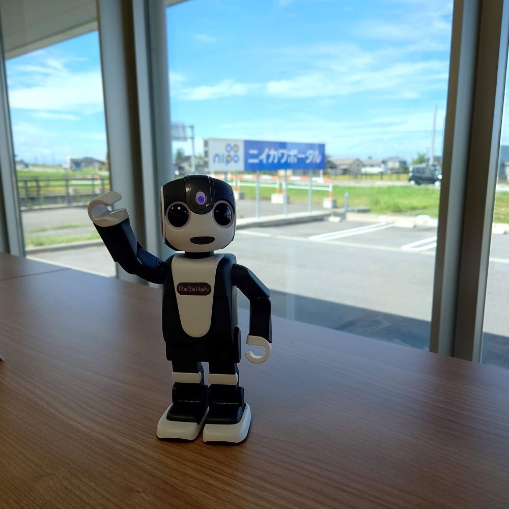 image.php?id=2313485&p=shopn&s