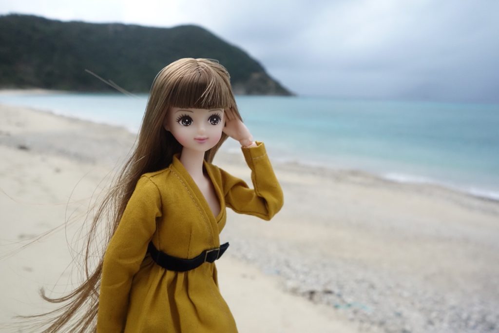 わが家のジェニーフレンドをご紹介 | ちいさなおもちゃばこ