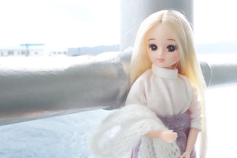 わが家のリカちゃんフレンドをご紹介 | ちいさなおもちゃばこ