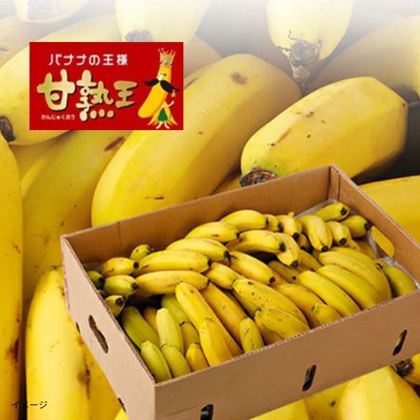 2025-06-24T110716.750.jpg?v=