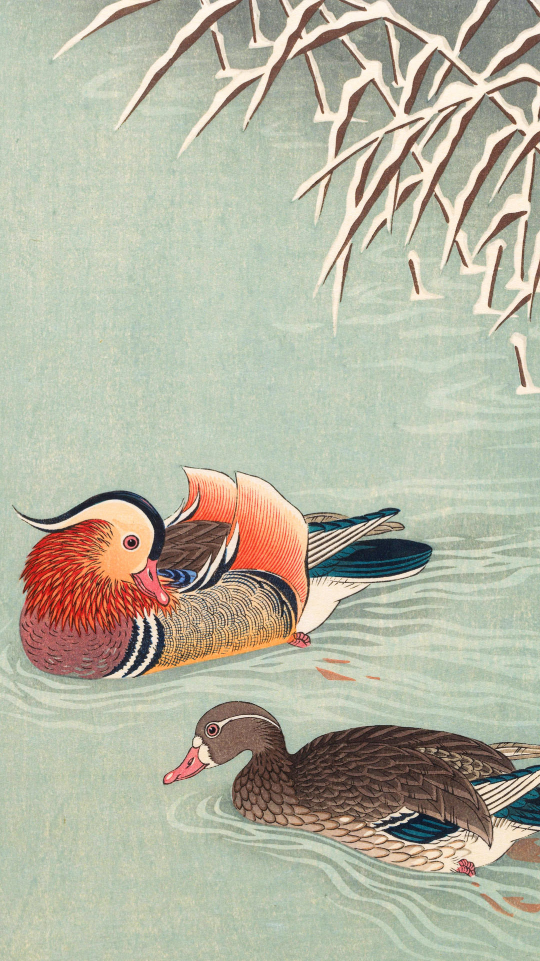 小原古邨 / 鴛鴦（オシドリ） | 壁紙ギャラリー KAGIROHI