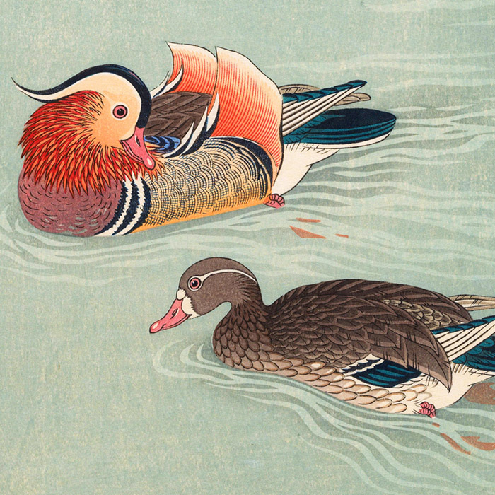 小原古邨 / 鴛鴦（オシドリ） | 壁紙ギャラリー KAGIROHI