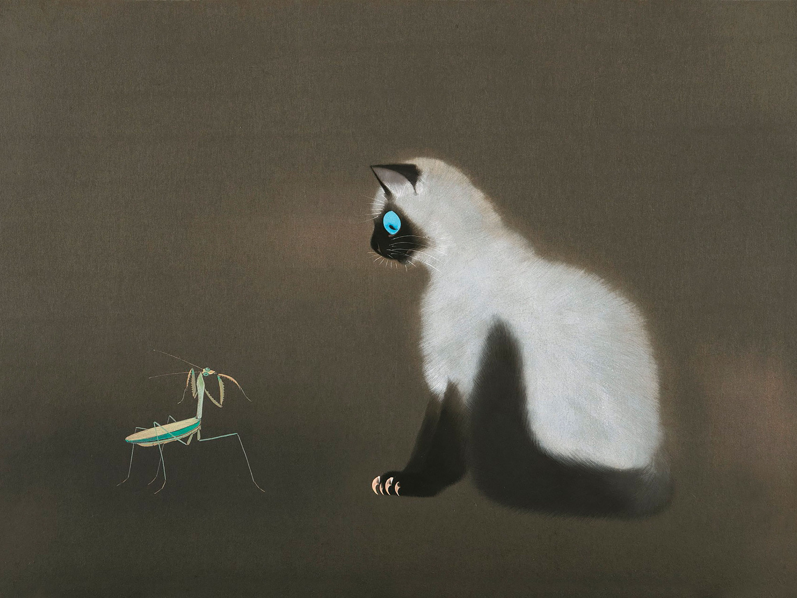 加山又造 / 猫 | 壁紙ギャラリー KAGIROHI