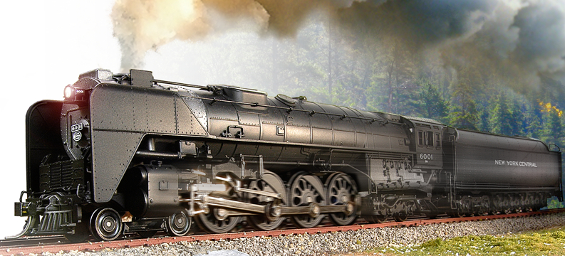 ノーザン（4－8－4）タイプ人気トップ5。