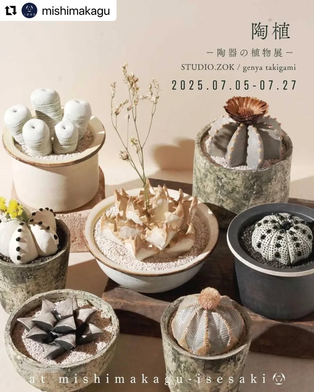 STUDIO.ZOKが三島家具伊勢崎本店で陶植POP-UPを開催、陶器の植物展で