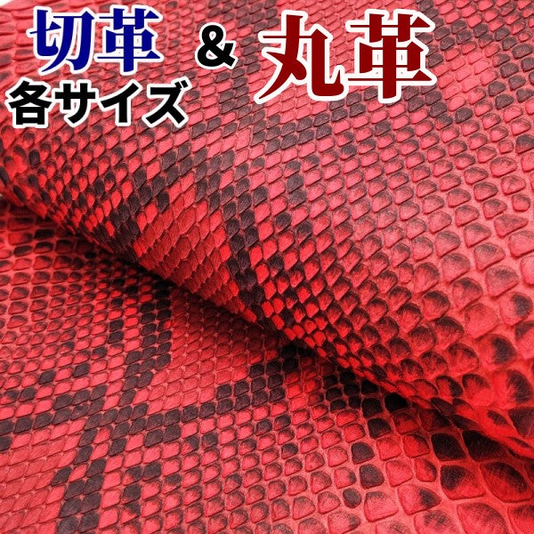 ヘビ革/赤（赤色・アップル・RED・朱色）の革素材を販売 – レザー