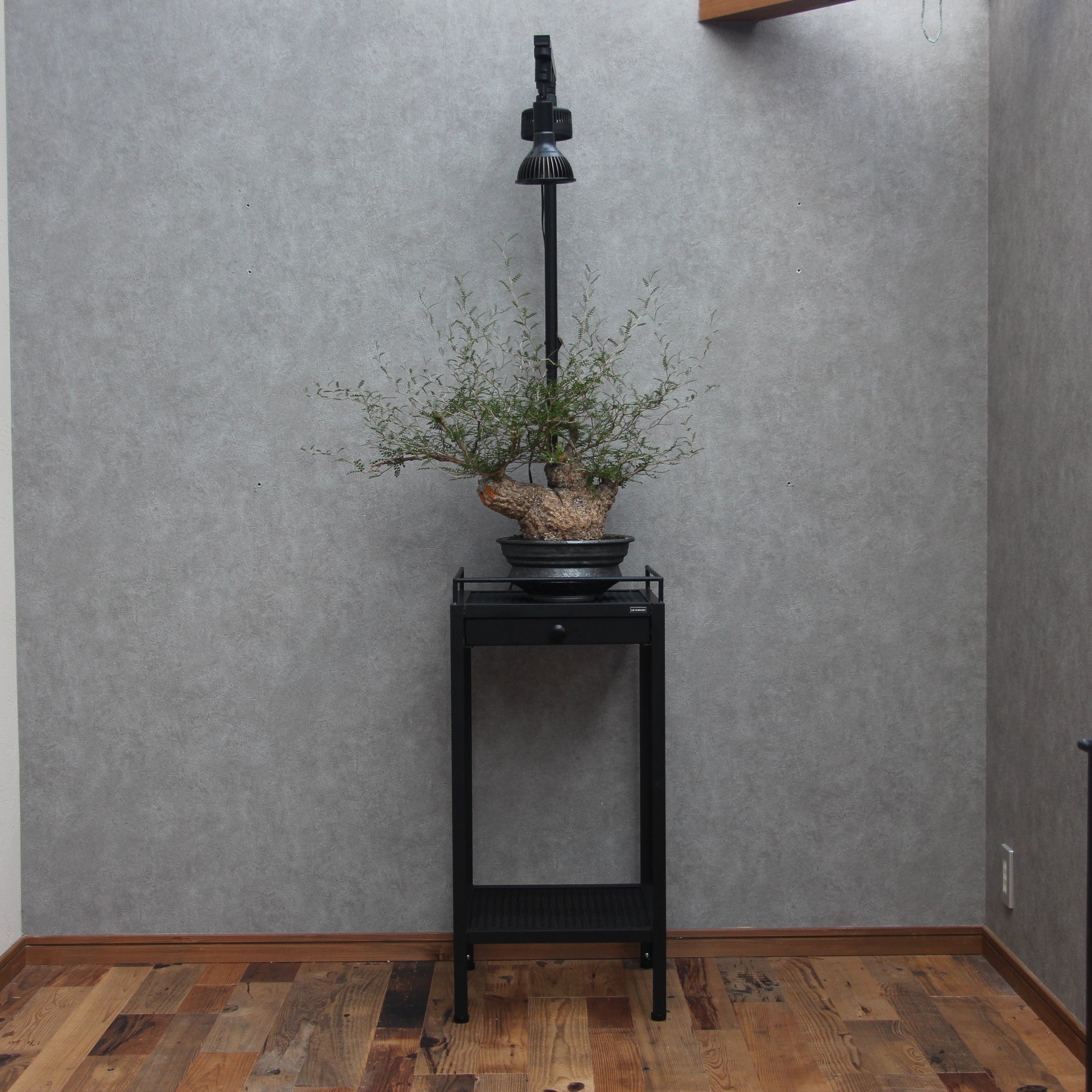 DISPLAYSTAND ～ディスプレイスタンド～