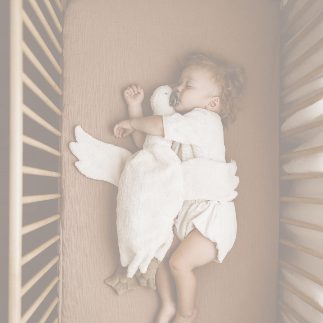 Senger Naturwelt/センガーナチュウェルト-little flamingo – little