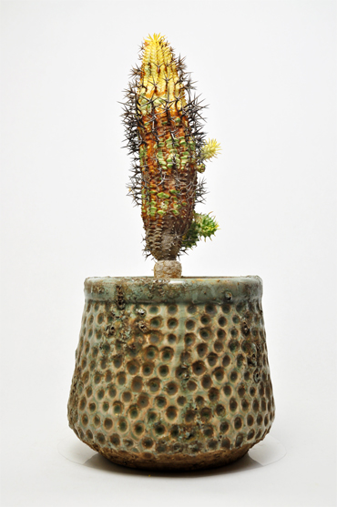 群星冠錦 | 叢 – くさむら – Qusamura