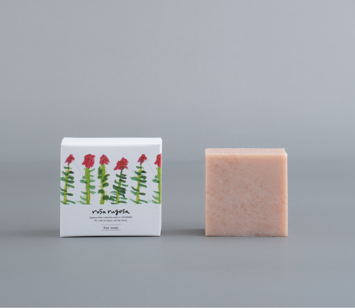 ※РОЗА プロフ必読※ 八重咲き】 クリスマスローズ 『ダブルピコティ系』 3.5寸ロングPOT