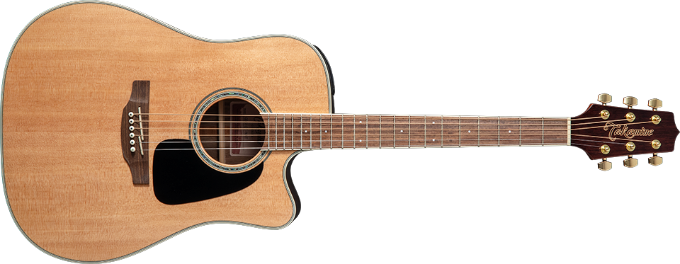 Takamine Guitars :: G-Series Guitars
