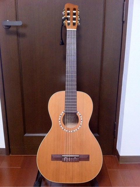 Art & Lutherie / Ami Nylon Cedar | chicken skin musiQ