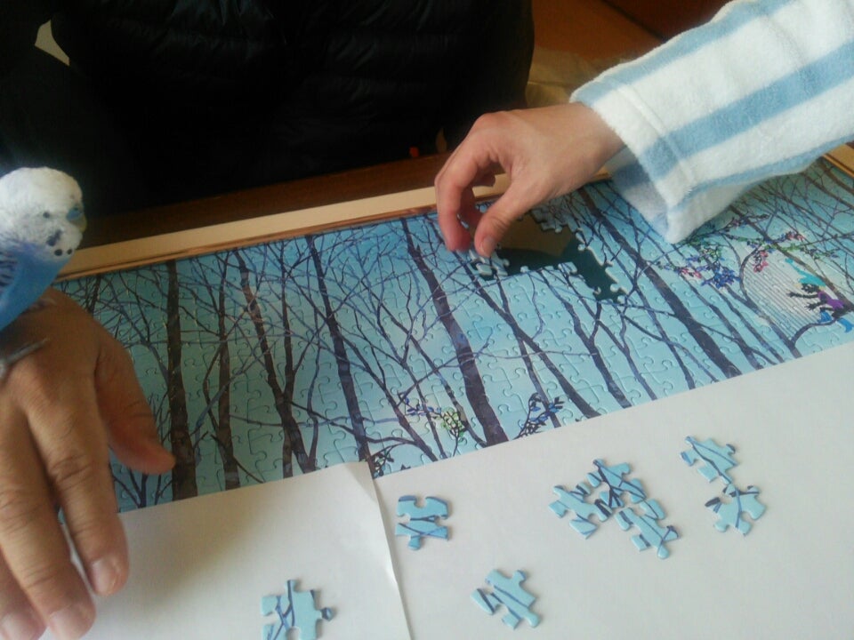 藤城清治さんの湿原のミズバショウとこびと。 | ともりんともりんのブログ