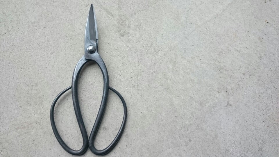 三条 本成寺昇 | 庭師記 ー 庭は師、業は己 ー