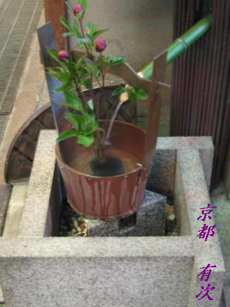 有次の物相型 | まいにち野菜日和 時々京都