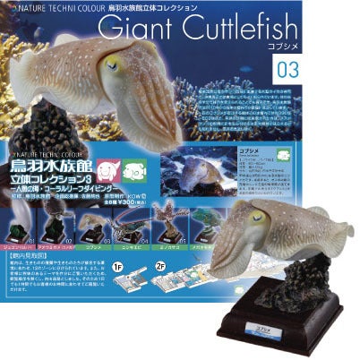 4月下旬発売予定】ネイチャーテクニカラー鳥羽水族館立体コレクション