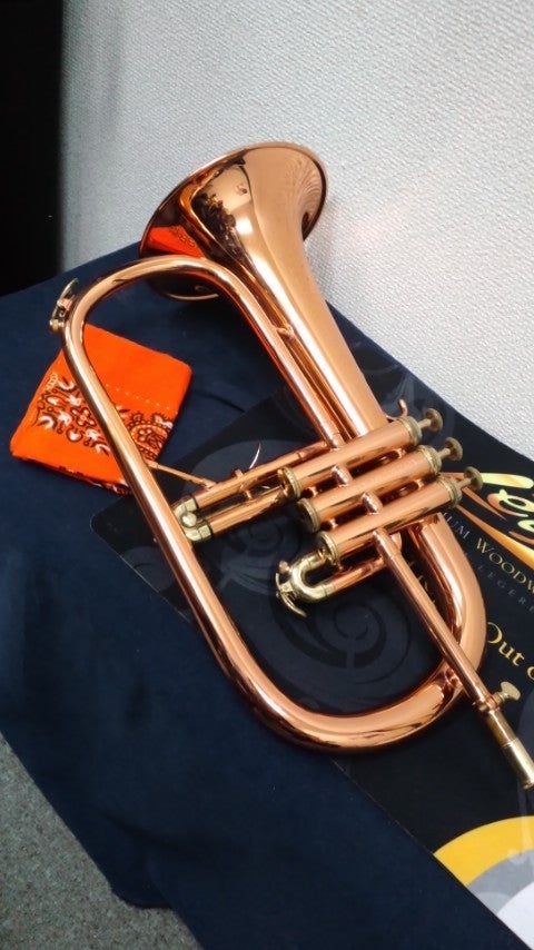 オールドケノンの勝ち！ | 音楽家ときどき猟師