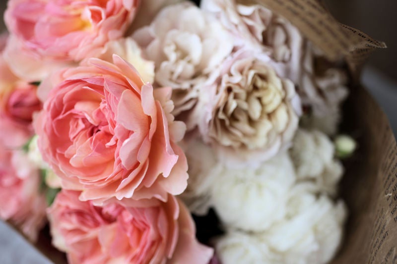 F&Gローズ、和薔薇「かおりかざり」。 優しい愛され芳香薔薇。 | Roses