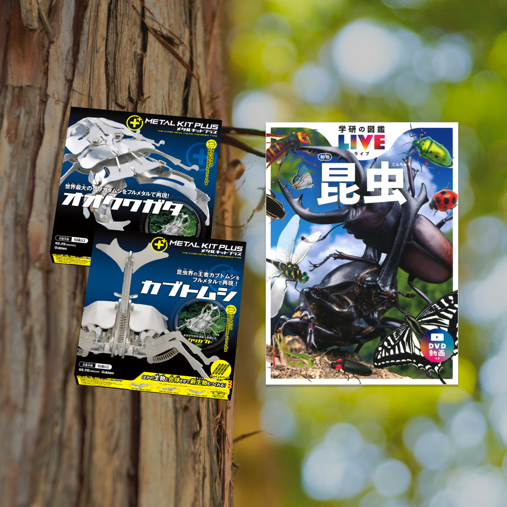 Gakken×アソビュー！「昆虫マニアセット」｜体験ギフトならアソビュー