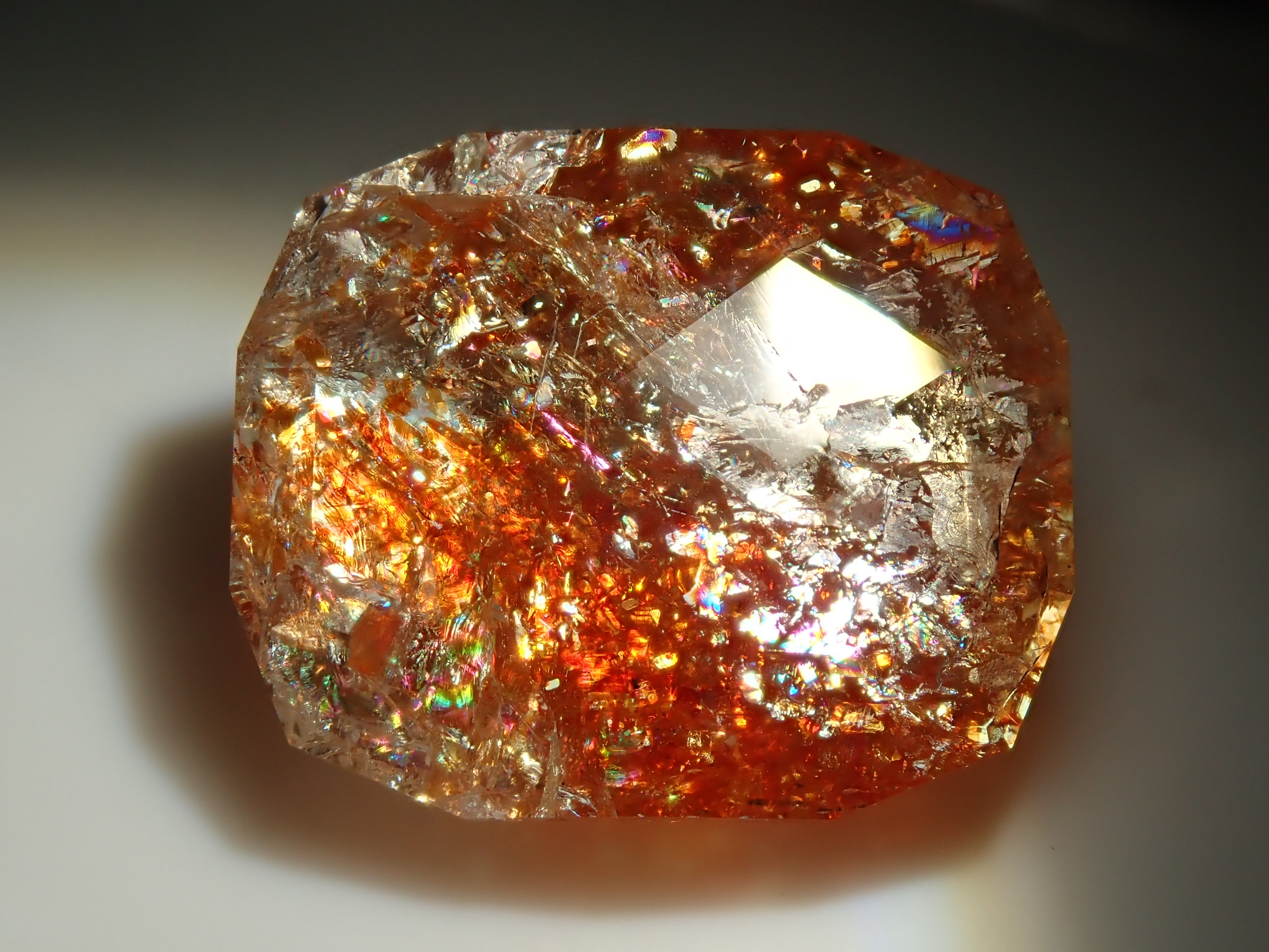 P8295916.jpg?v=1757896742&