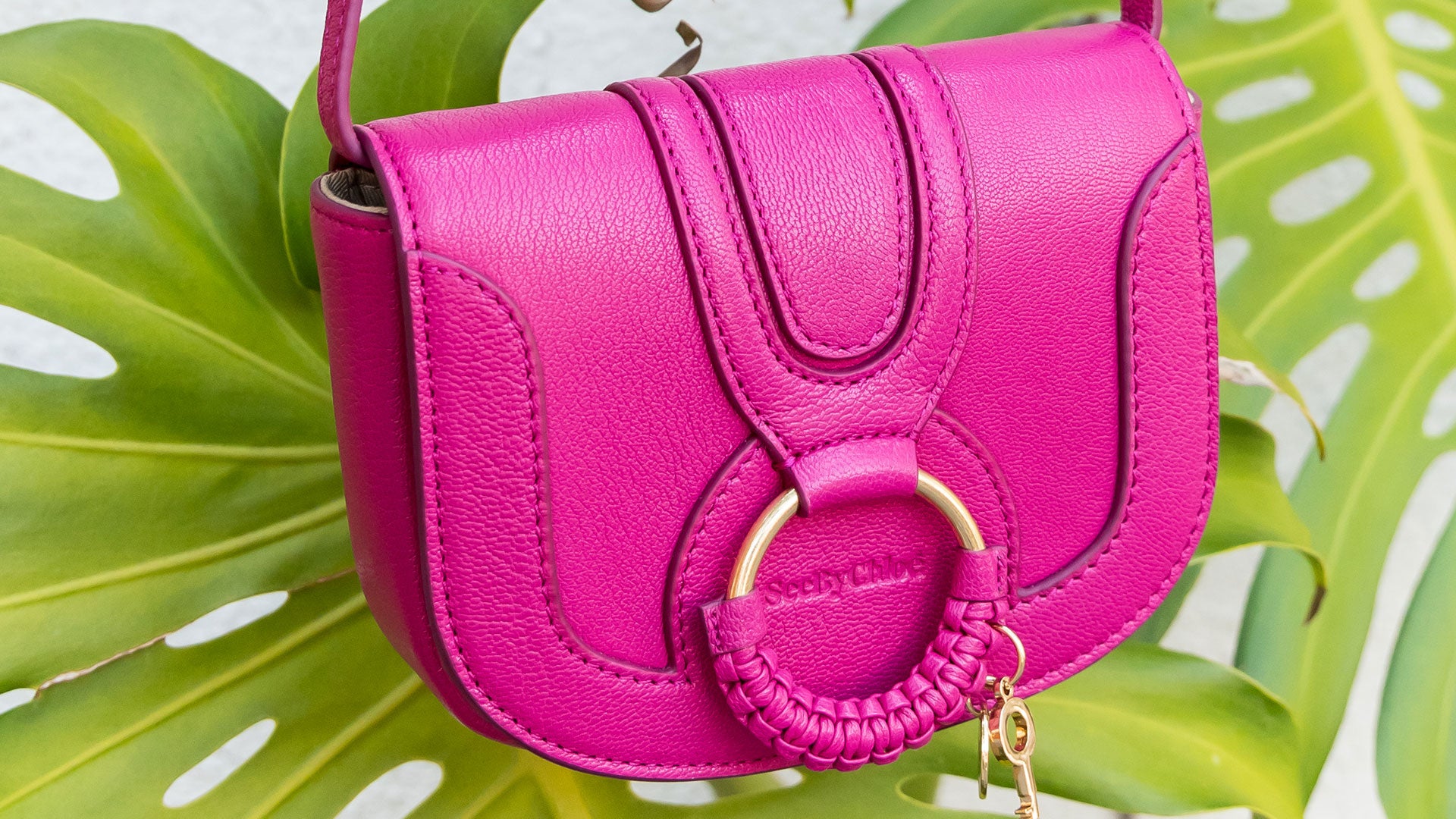 In The Bag | New See By Chloé – Samantha Ogilvie