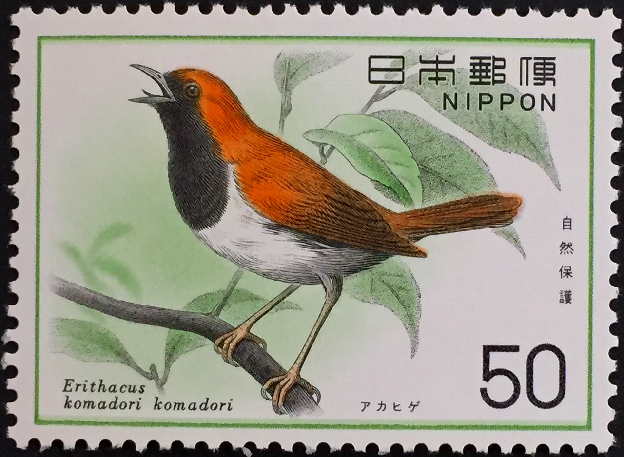 1976年鳥切手 自然保護 アカヒゲ 50円 | 収集ワールド