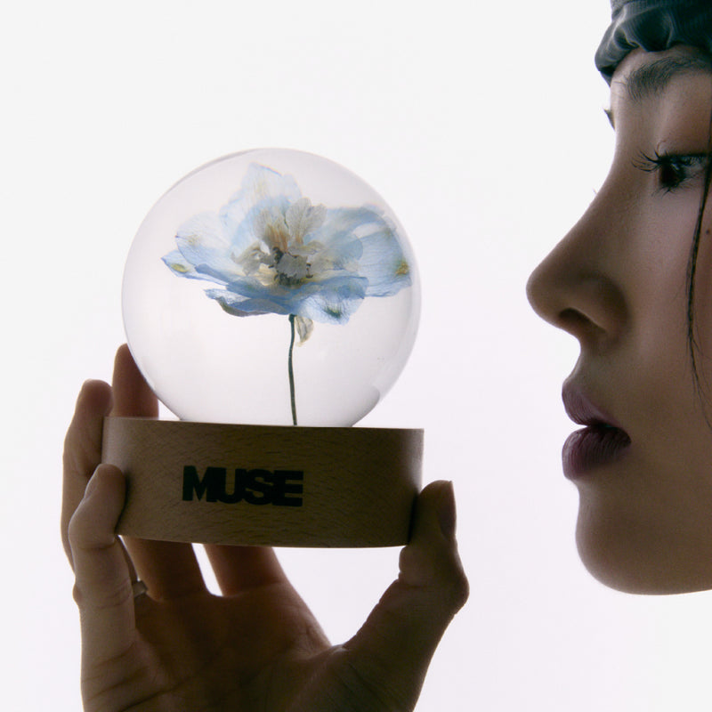 BTS Jimin Muse Merch - Paper Weight – SEOUL TERRACE