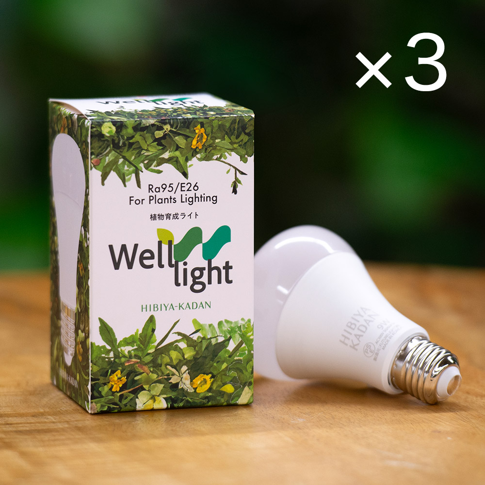 植物育成用LED電球 Well light 3K 昼白色（3球） | 花・花束を贈る