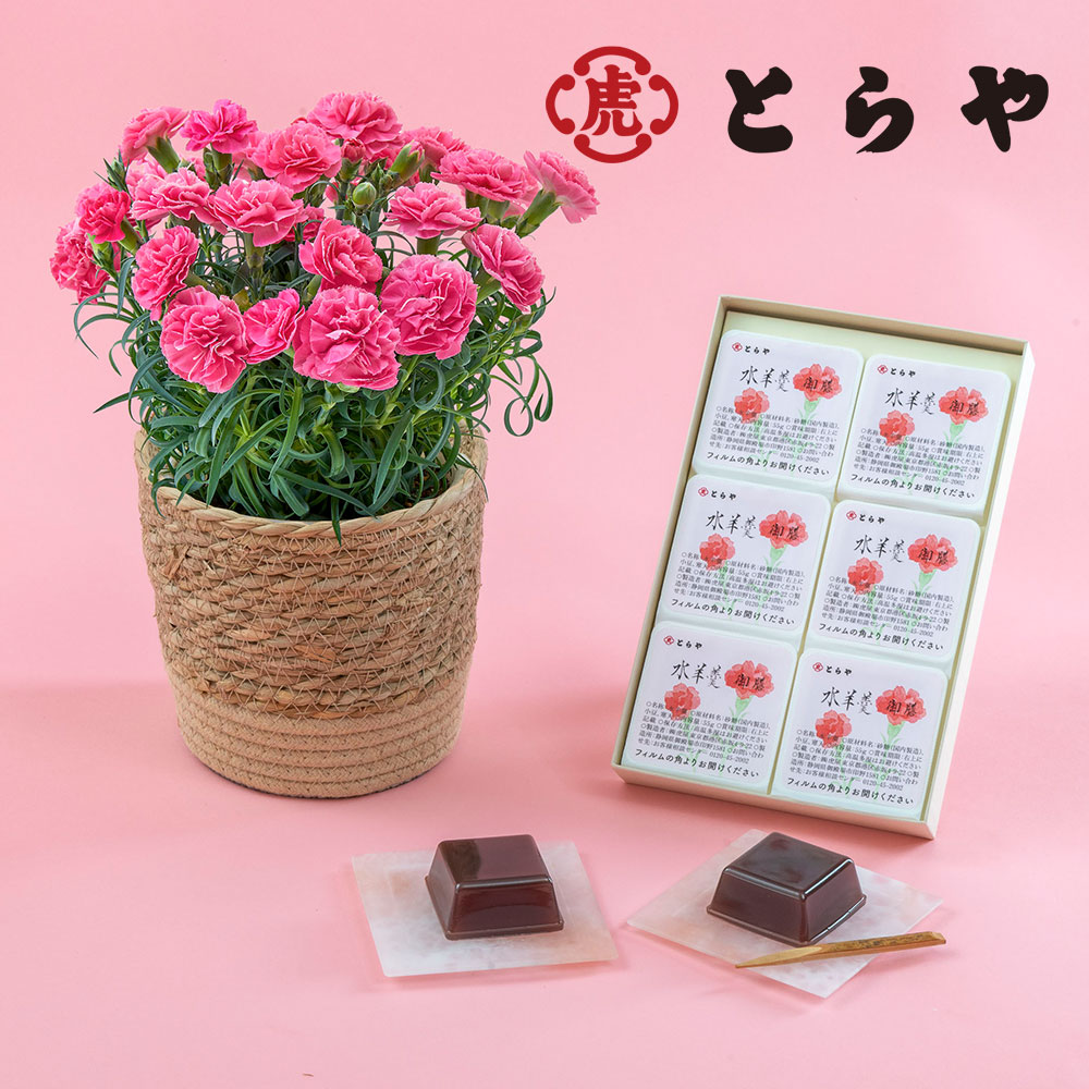 母の日 とらや「母の日水羊羹6個入」とカーネーション鉢（ピンク系）の