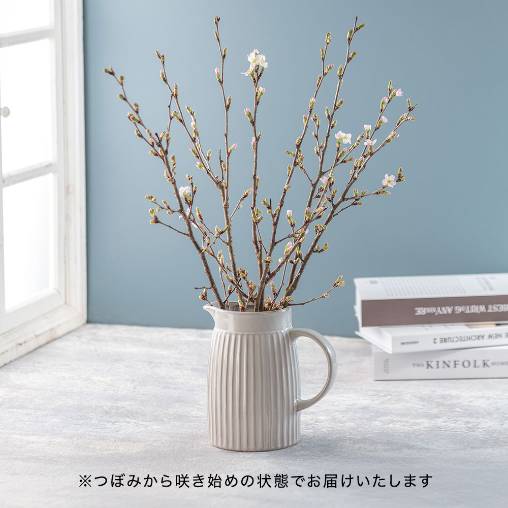 バイヤー厳選】山形県西川町産｢啓翁桜｣ | 花・花束を贈るフラワー