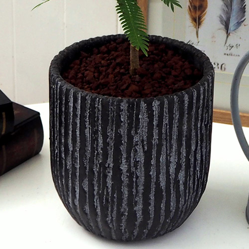 観葉植物「エバーフレッシュ（アンティークポット）」 | 花・花束を