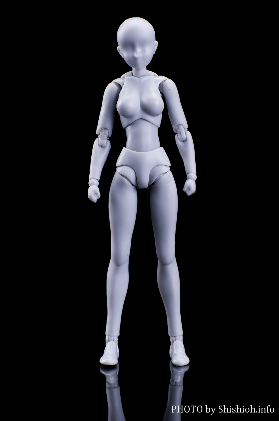 レビュー】 バンダイ S.H.Figuarts ボディちゃん DX SET （Gray Color