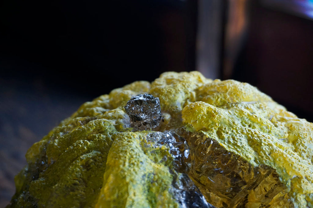 ○26-MY-5果実‐鬼柚子‐ – 雨晴/AMAHARE