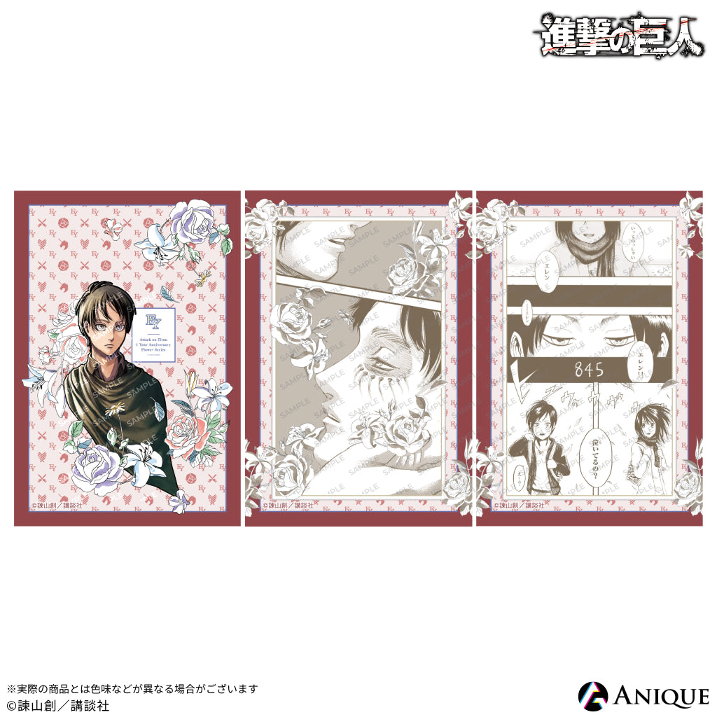 1y_posc_1_all.jpg?v=1710728297