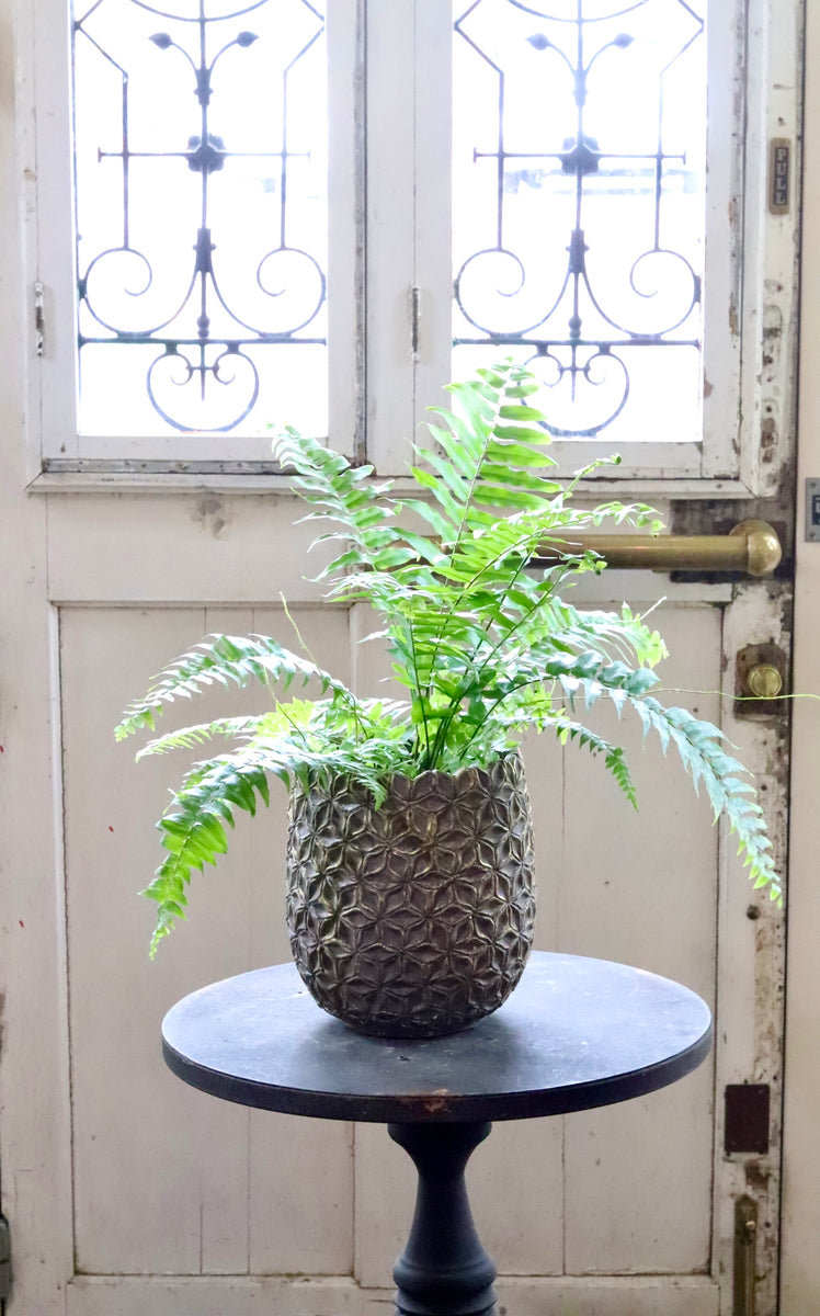 image_1e26f7ab-57e0-4208-9ca7-