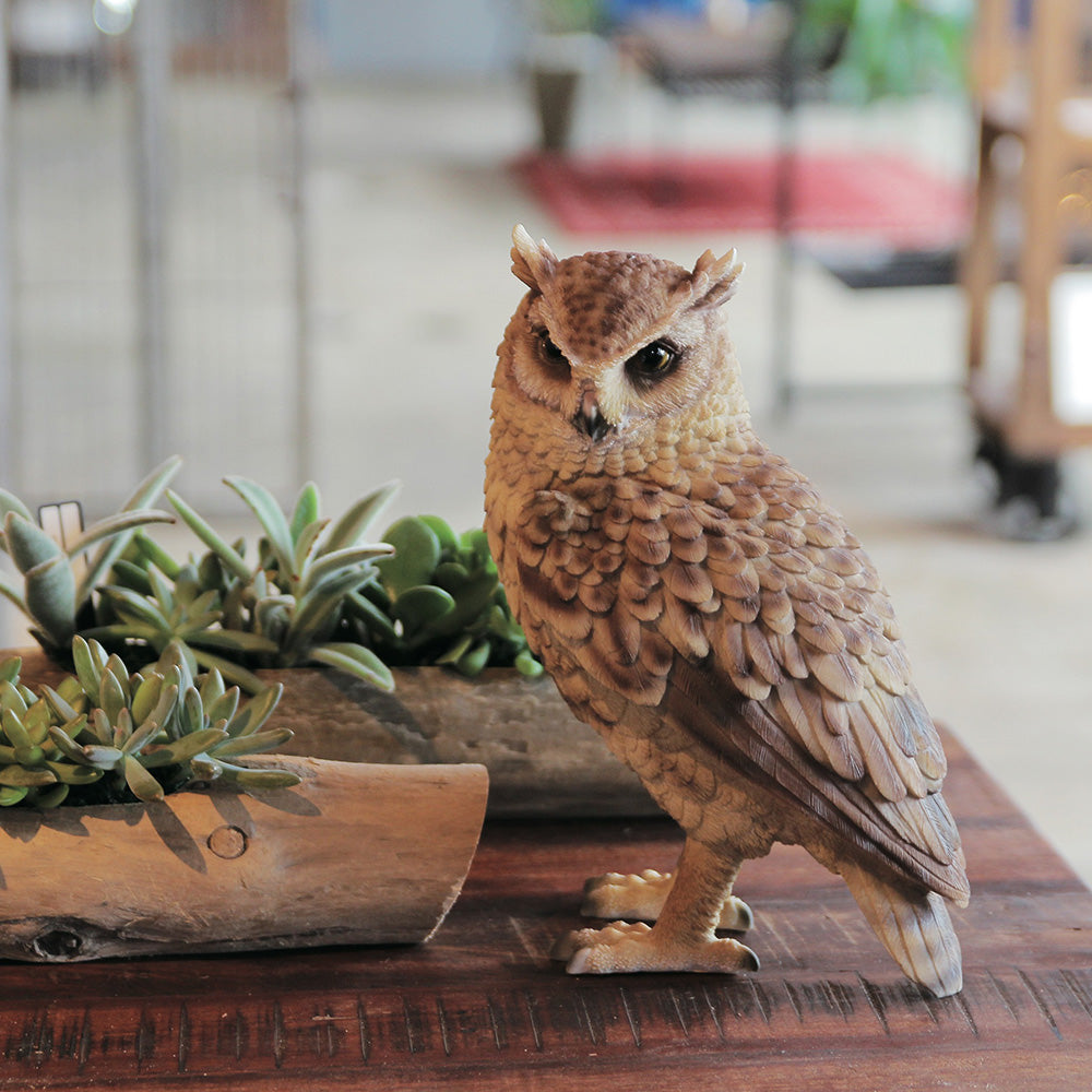 トラフズクのお役立ち貯金箱 PET BANK LONGEARED OWL（ペットバンク