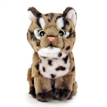 ネコ科ぬいぐるみ・イリオモテヤマネコ（子） – WWFジャパン PANDA SHOP