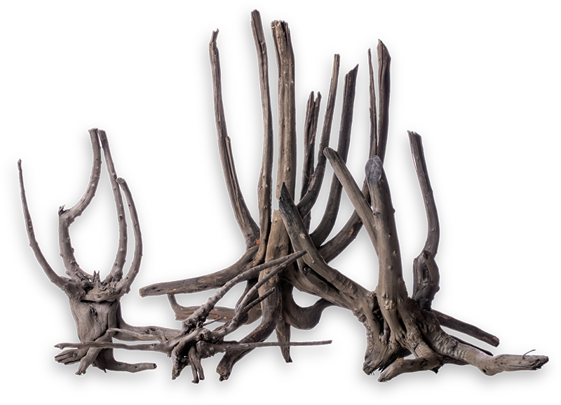 流木シリーズ - 株式会社ソネケミファ