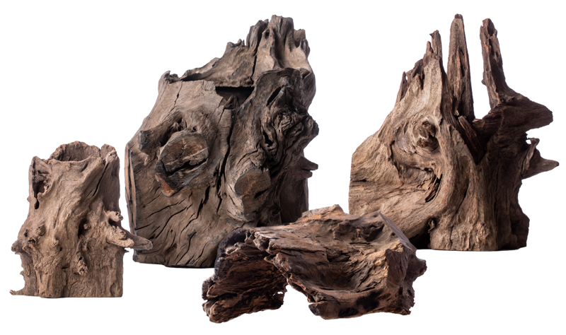 流木シリーズ - 株式会社ソネケミファ