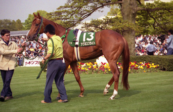 アイソウザライト」アグネスフライト（2000年ダービー勝馬）: TURF