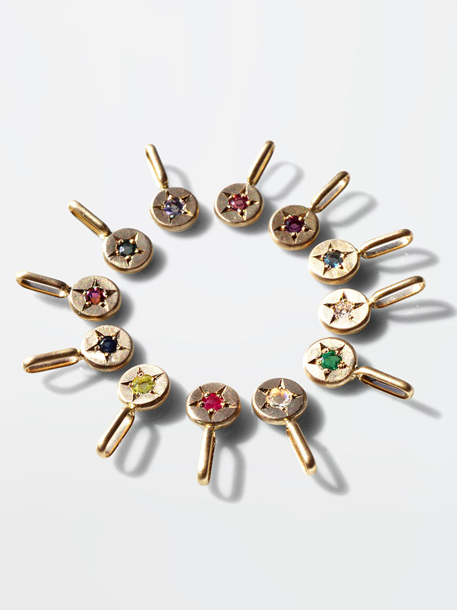 BIRTH STONE STAR / Pendant Top