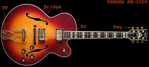 YAMAHA AE-2000