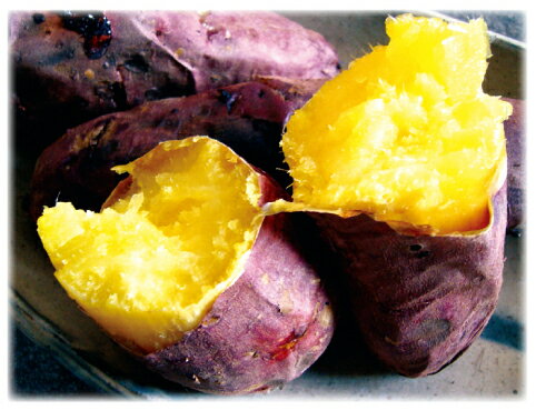 さつまいも苗 【 べにはるか 】 25本 【予約販売 芋づる さつまいも 苗