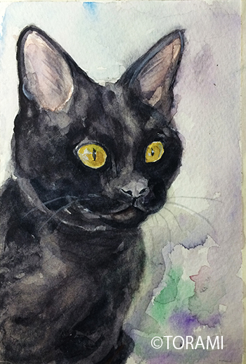 水彩で黒猫に挑戦！ – TORAMI CATS WORLD