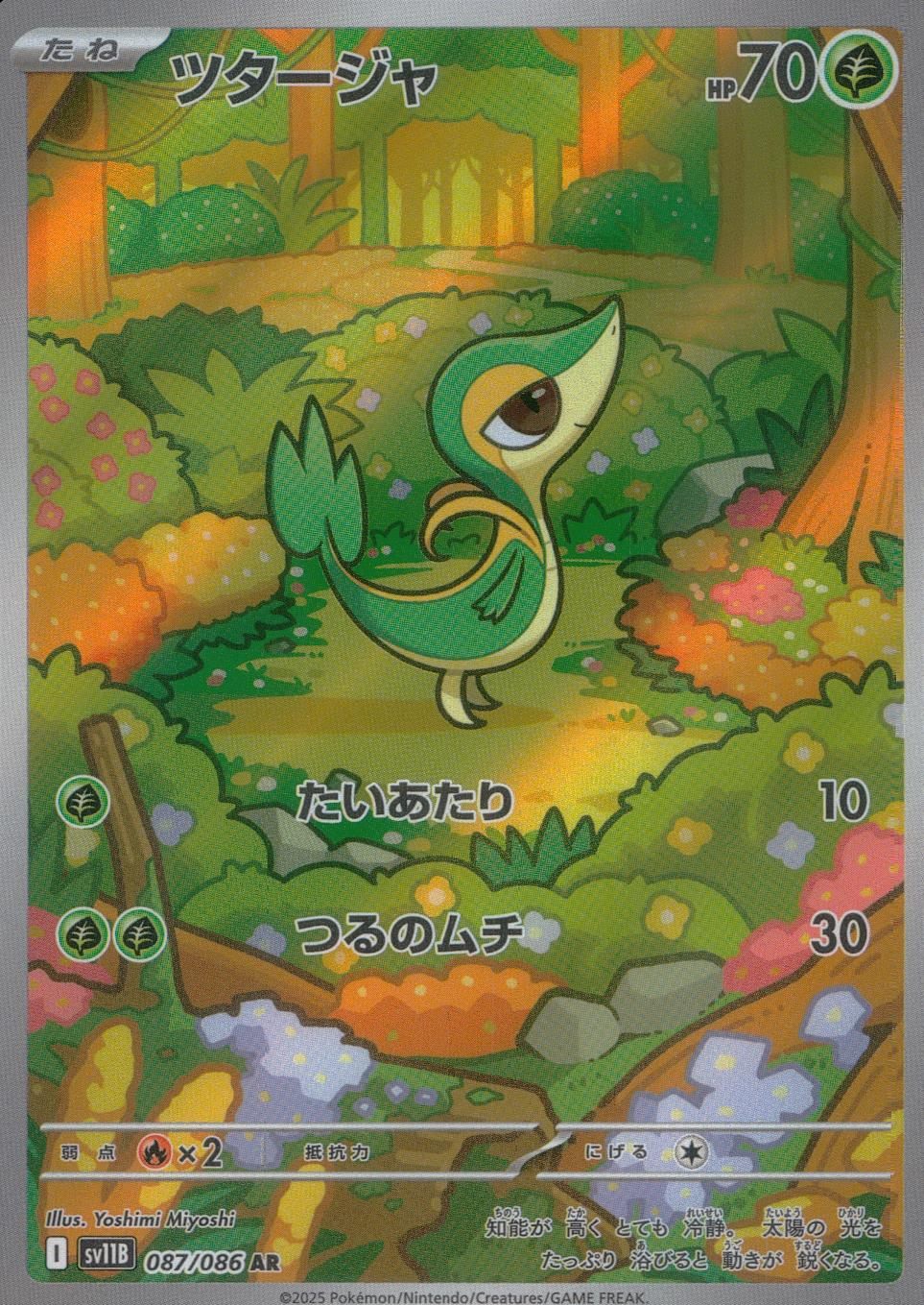 087/086/SV11B/B/AR ツタージャ
