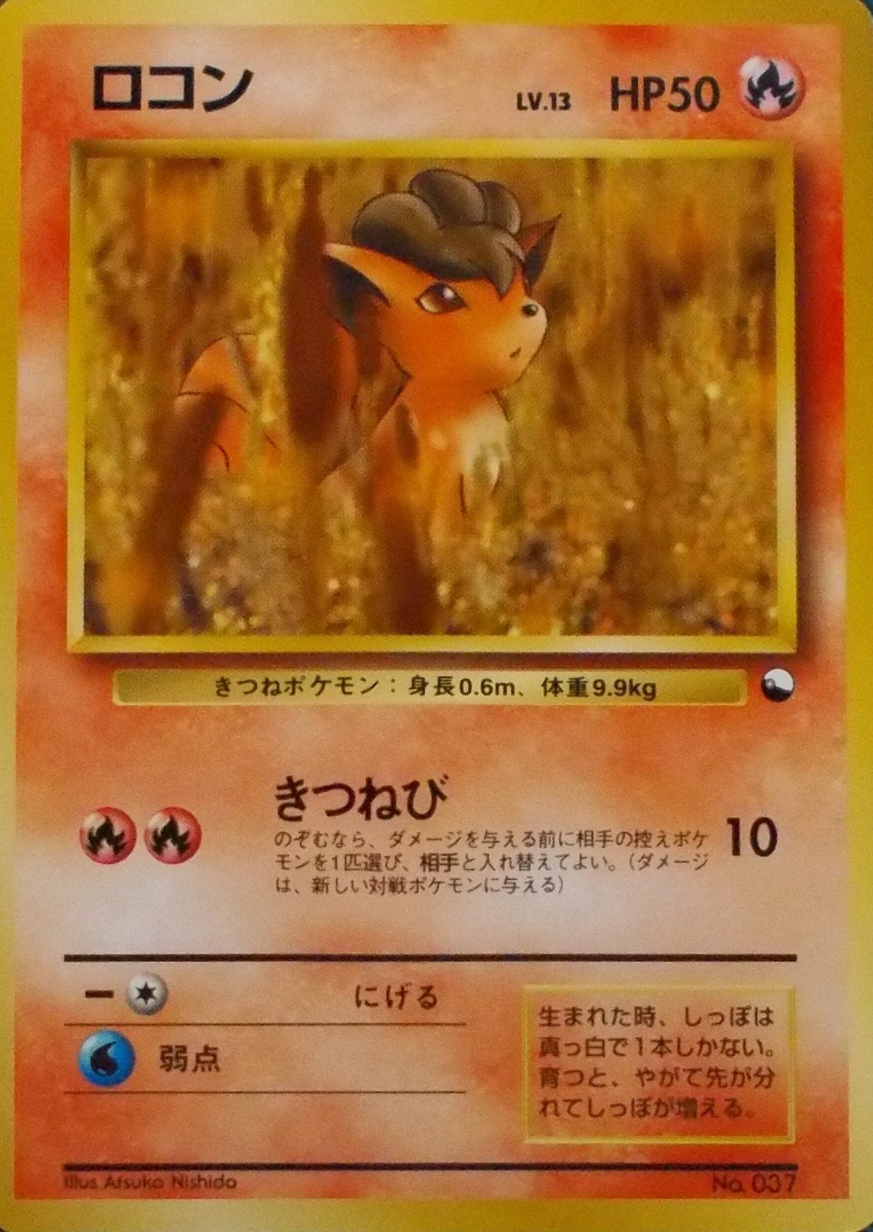 状態B】旧裏 No.037 ロコン Lv.13/HP50